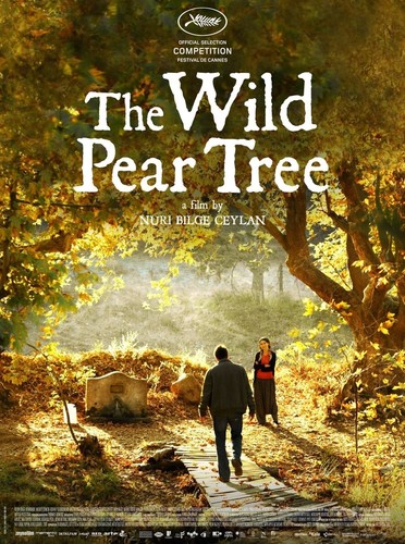 ველური მსხლის ხე (ქართულად) / The Wild Pear Tree / Ahlat Agaci 