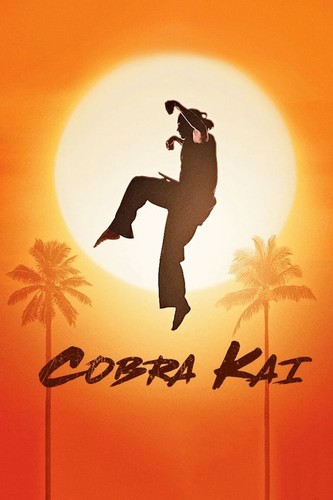 კობრა კაი სეზონი 1,2, (ქართულად) / Cobra Kai / Kobra Kai 