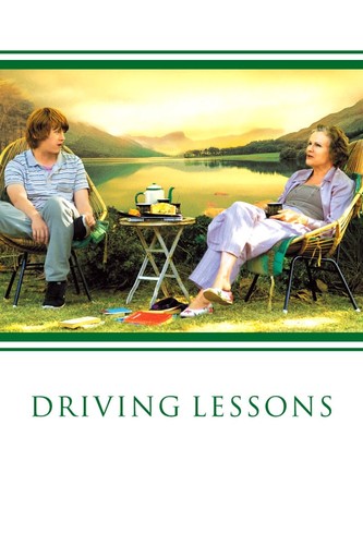 მართვის გაკვეთილები (ქართულად) / Driving Lessons / Martvis Gakvetilebi 