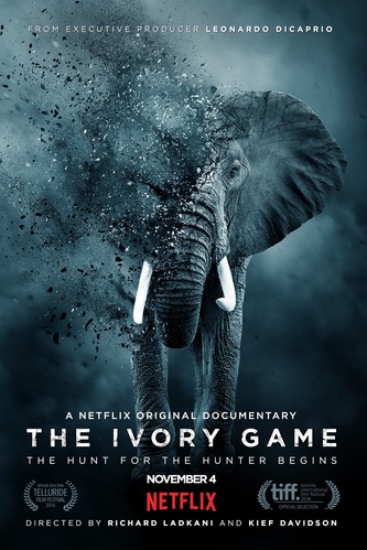 ნადირობა სპილოს ძვალზე (ქართულად) / The Ivory Game / Nadiroba Spilos Dzvalze 