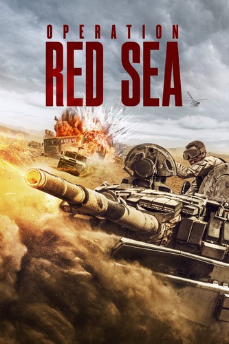 ოპერაცია წითელი ზღვა (ქართულად) / Operation Red Sea / Hong hai xing dong 