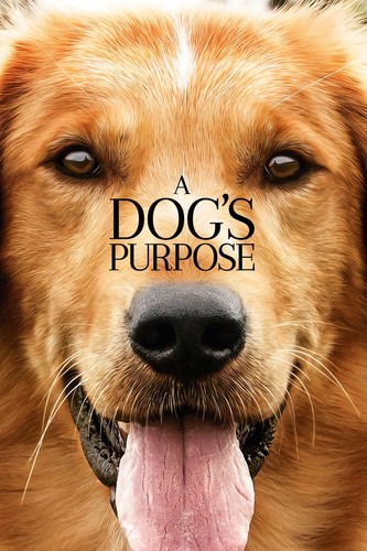 ძაღლური ცხოვრება / A Dog's Purpose / Dzagluri Cxovreba 
