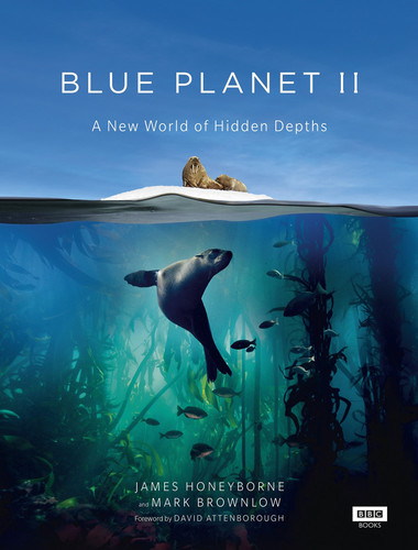 ლურჯი პლანეტა II (ქართულად) / Blue Planet II / Lurji Planeta 2 