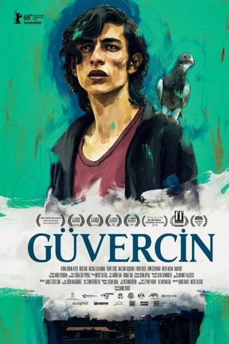 მტრედი (ქართულად) / The Pigeon / Güvercin 