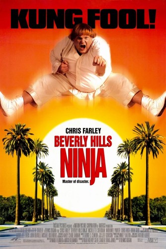 фильм ნინძა ბევერლი ჰილზიდან (ქართულად) / Beverly Hills Ninja / Ninja Beverli Hilzidan 