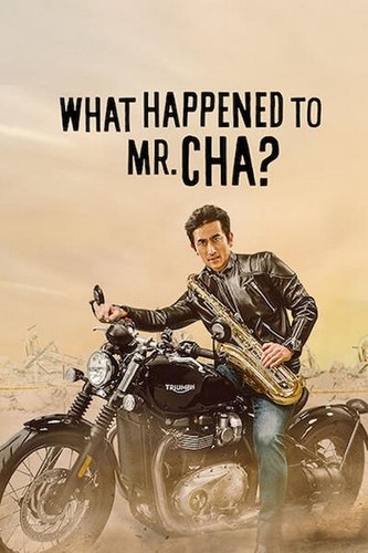 რა დაემართა მისტერ ჩას? / What Happened to Mr Cha? 
