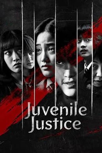 არასრულწლოვანთა მართლმსაჯულება / Juvenile Justice / Sonyeonsimpan 