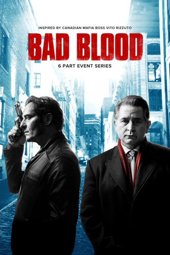 ცუდი სისხლი სეზონი 1,2 (ქართულად) / Bad Blood / Cudi Sisxli 